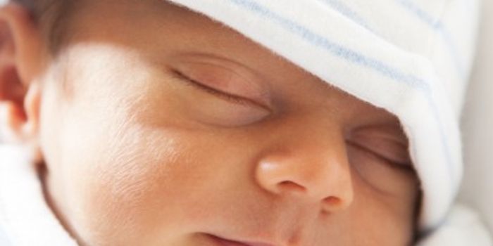 Learning, Memory may be Improved by Feeding Infants Prebiotics