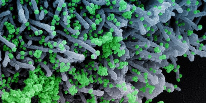 Scientists Find an Array of Long COVID Biomarkers