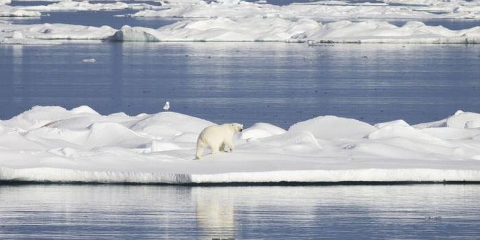 Arctic Warming: Clouds May Hold the Key