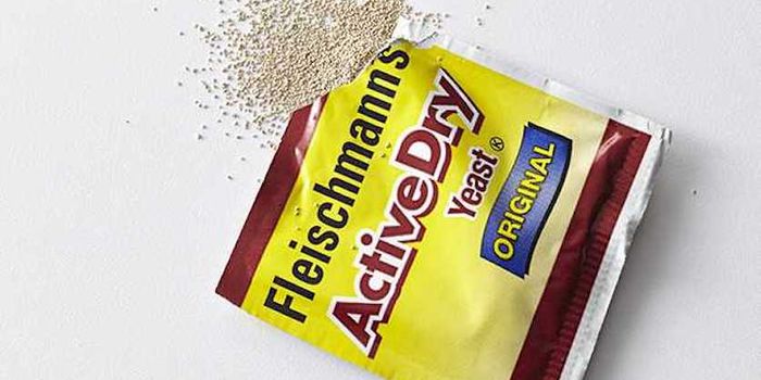 Scientists Make THC and CBD Using Yeast