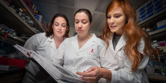 A 3D Look at the Genome Reveals a Super Enhancer