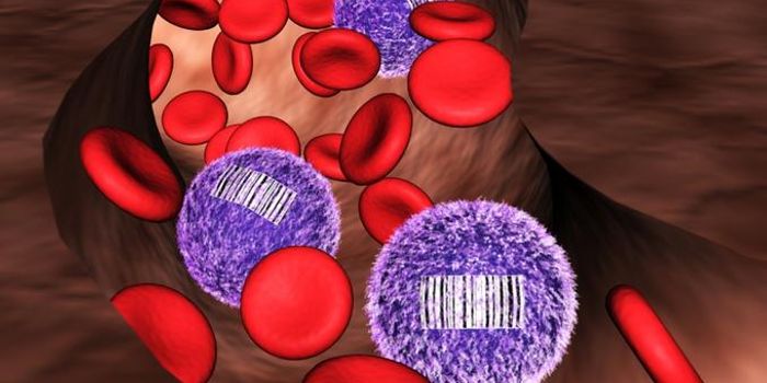 Long Non-Coding RNAs Steer Bodily Functions