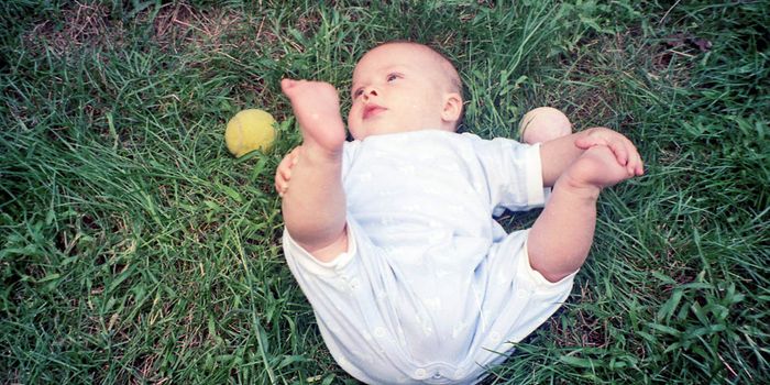 Developing Babies' Brains