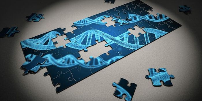 Genetic Mutations May Not be Related to the Aging Process