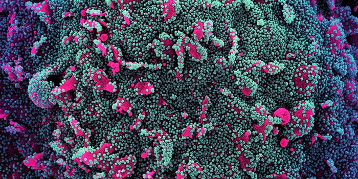 Viral Ancestor of SARS-CoV May Date Back 22,000 Years