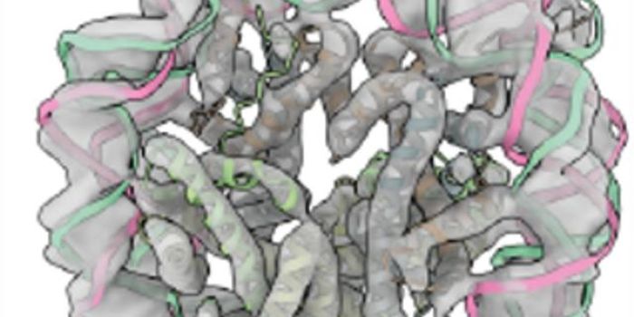 A Close Look at Chromatin Condensates