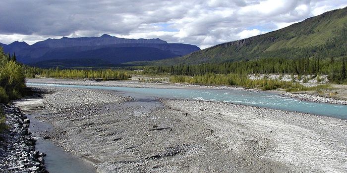 Rethinking dams: the true cost of hydropower