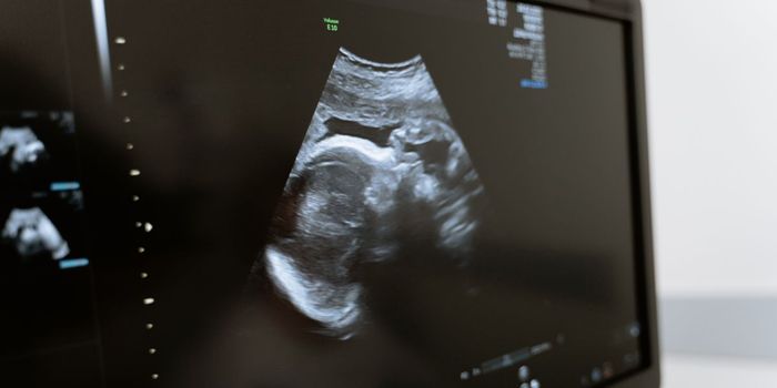 Tobacco Tax Reduces Neonatal and Infant Mortality