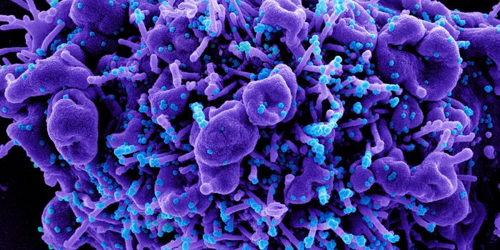 Why SARS-CoV-2 Mutations Make the Virus More Infectious