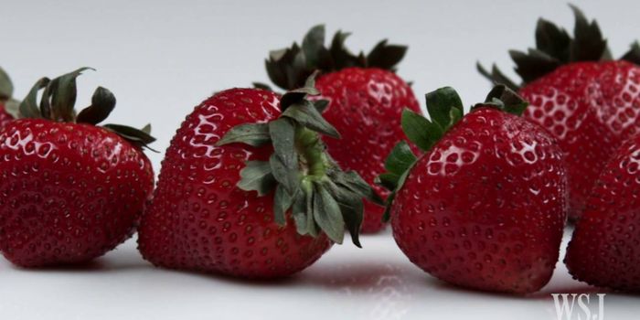 Silk-Coated Foods Stay Fresher, Longer