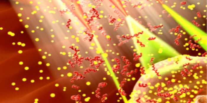 New Gene Therapy Platform For Macular Degeneration