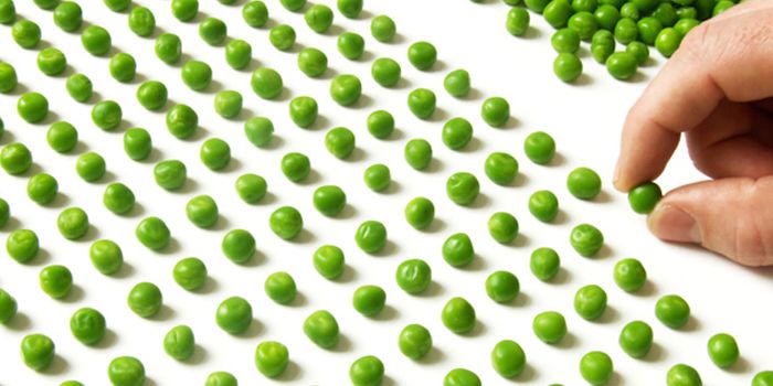 Perfectionism's Pro- and Anti-Social Aspects Revealed