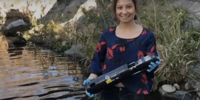 Sensor Can Quickly Detect Bacterial Contamination in Water