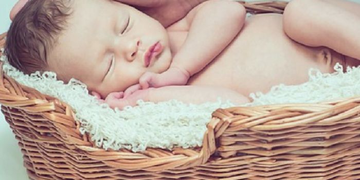 Contact is Crucial for Newborn Brain Development