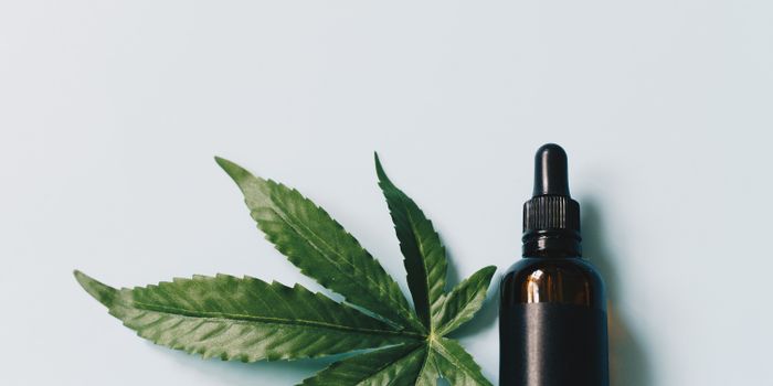 CBD and THC are Safe Supplements to Opioid Treatment