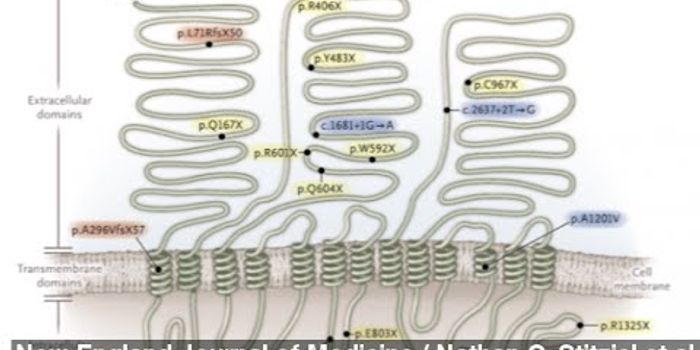 Gene Mutation May Protect From Heart Disease, Cholesterol
