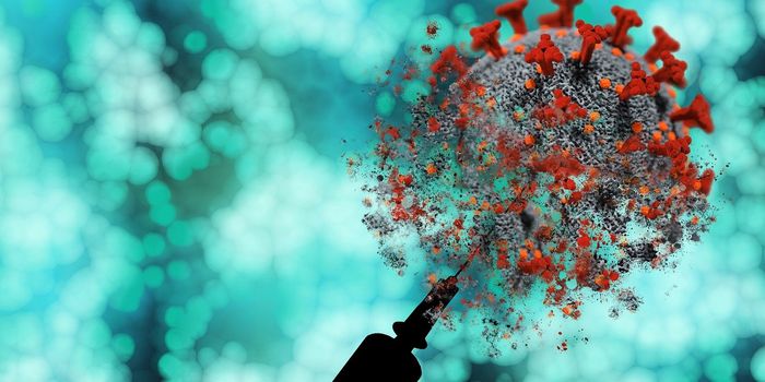 Nanoparticles in Vaccines Amplify Protective Immune Responses