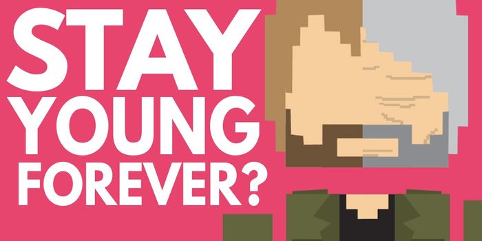 The Ageing Process, as Played Out by Our Cells