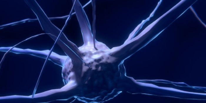 Genetic Profiling Reveals Potential Tumor Treatment