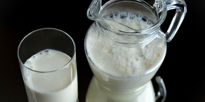 The Skinny on Fat Percentages in Milk