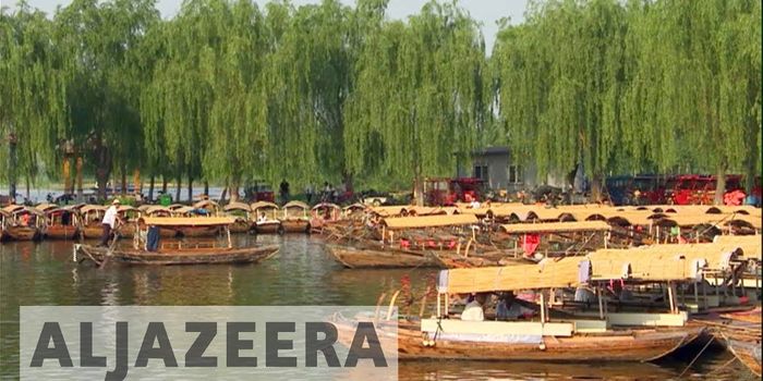 Development in China Wetlands Threatens Ecosystem