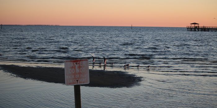 The Annual Gulf of Mexico Dead Zone Forecast to be the Size of Massachusetts