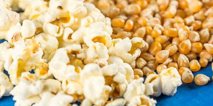 Popcorn-Powered Robots