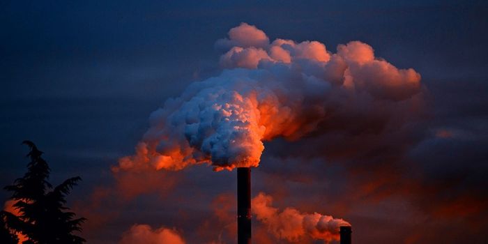 Air Pollution Linked to Alzheimer's, Study Finds