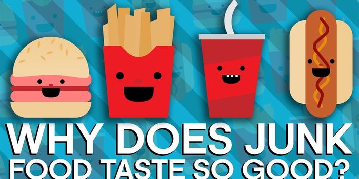 This is Why We Can't Quit Junk Food