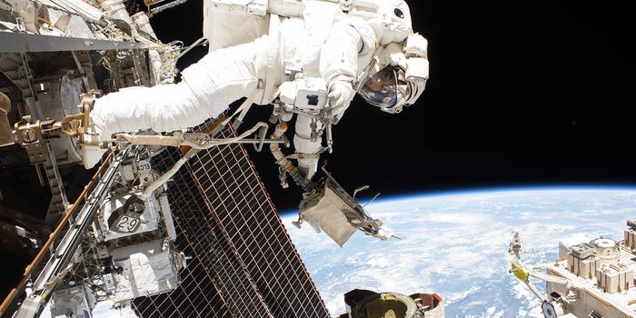 Technology in Space Prize: 3 New Research Projects Win Space Station Trips