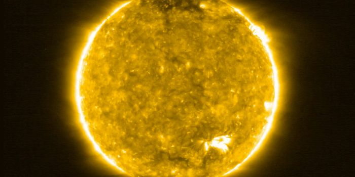 ESA's Solar Orbiter Captures Extraordinary Views of the Quiet Corona