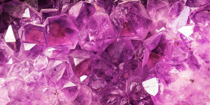 The Living 'Crystals' Formed by Starfish Embryos