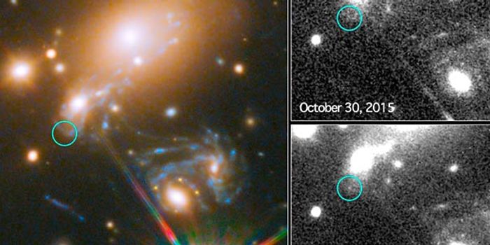 First Predicted Supernova Captured With Hubble Space Telescope