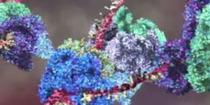The Molecular Machinery of the Cell in Action