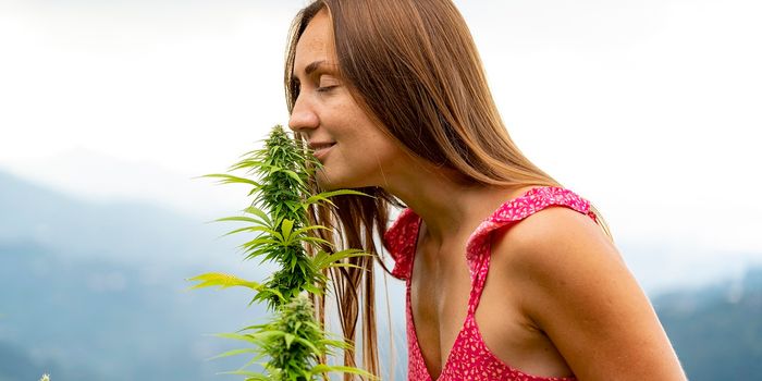 Study Examines Factors Involved in Cannabis Use for Self-Medication