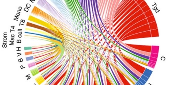 This Computer Model Can Predict How a Drug Will Affect Your Immune System