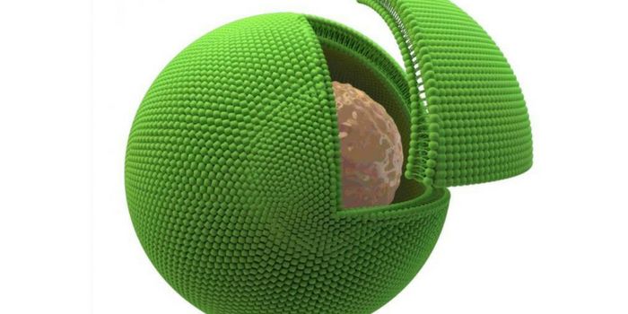 Bionic Being at the Cellular Level-Artificial Cells