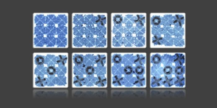 A Dynamic DNA Origami Technique