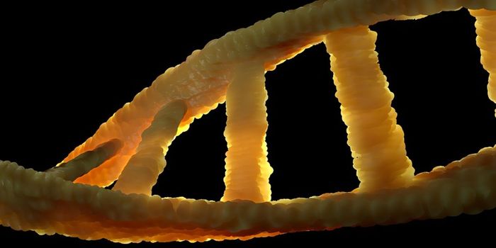 DNA Construction Kit Could Drive Down Costs of Immune Therapy