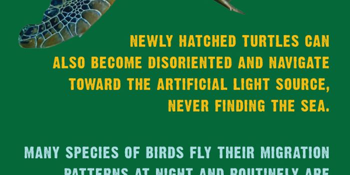 Turn Off the Lights!