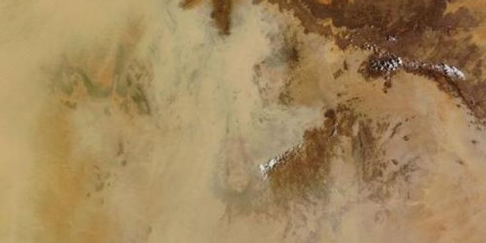 It's Raining ... Viruses?