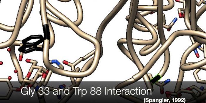 Use of Cholera Toxin As an Adjuvant