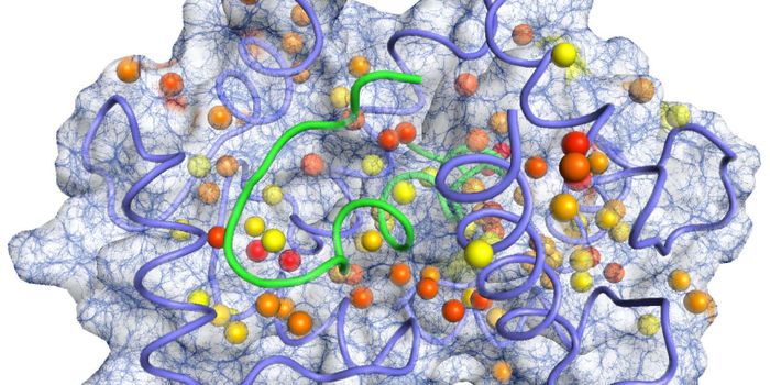 TSRI Scientists Develop New Toolkit for Exploring Protein Biology