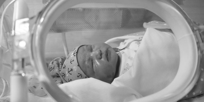 Treating Congenital Heart Disease: Shunt or Stent?