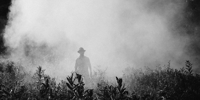 Even low levels of air pollution are associated with morbidity