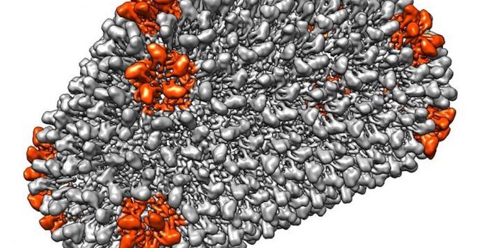 How a Retrovirus Can Turn Infectious