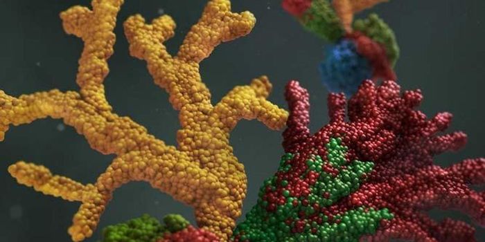 Improving the Ways Scientists Model Organs and Disease