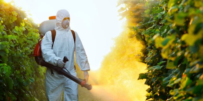 Common Pesticides Threaten Up to 97% of Endangered Species
