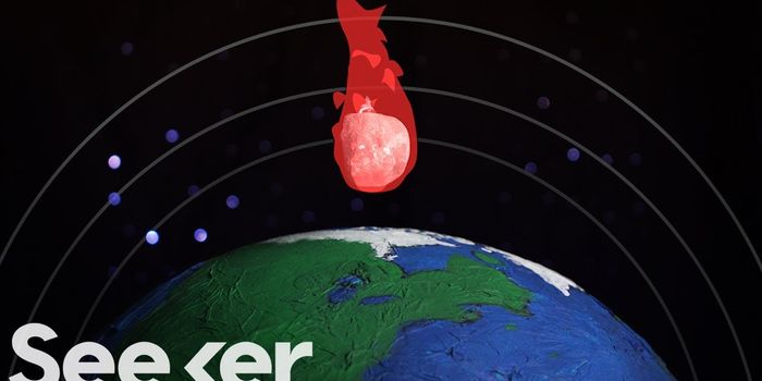 The Differences Between Common Space Rocks