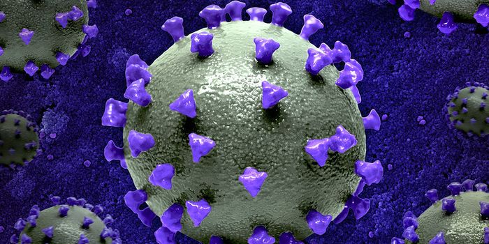 SARS-CoV-2 Infects & Moves Through Neurons in the Brain